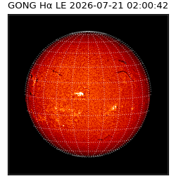 gong - 2026-07-21T02:00:42