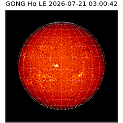 gong - 2026-07-21T03:00:42