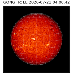 gong - 2026-07-21T04:00:42