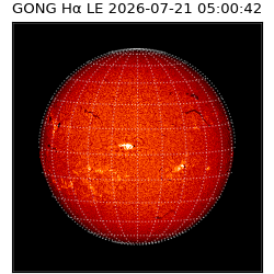 gong - 2026-07-21T05:00:42