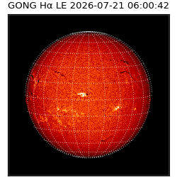 gong - 2026-07-21T06:00:42