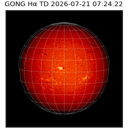 gong - 2026-07-21T07:24:22