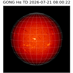 gong - 2026-07-21T08:00:22