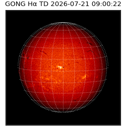 gong - 2026-07-21T09:00:22