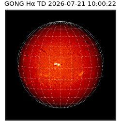 gong - 2026-07-21T10:00:22