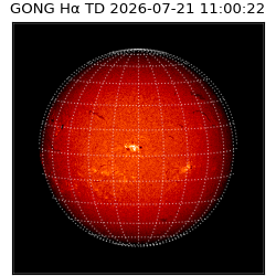 gong - 2026-07-21T11:00:22