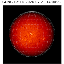 gong - 2026-07-21T14:00:22