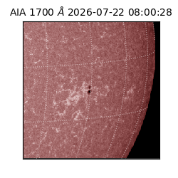 saia - 2026-07-22T08:00:28.716000