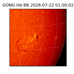 gong - 2026-07-22T01:00:02