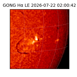 gong - 2026-07-22T02:00:42