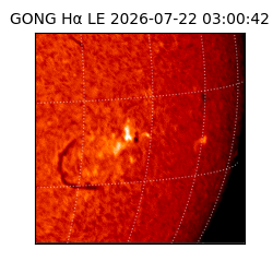 gong - 2026-07-22T03:00:42