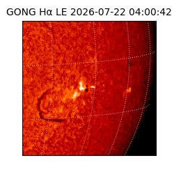 gong - 2026-07-22T04:00:42