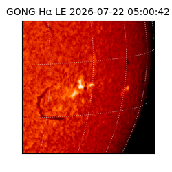 gong - 2026-07-22T05:00:42