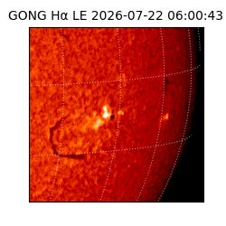 gong - 2026-07-22T06:00:43