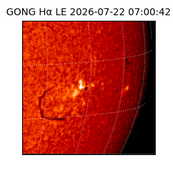 gong - 2026-07-22T07:00:42