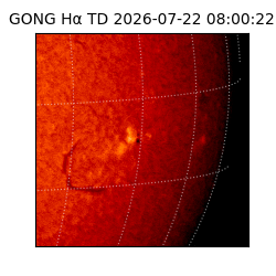gong - 2026-07-22T08:00:22