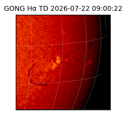 gong - 2026-07-22T09:00:22