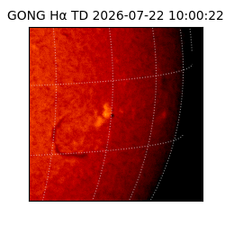 gong - 2026-07-22T10:00:22