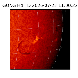 gong - 2026-07-22T11:00:22