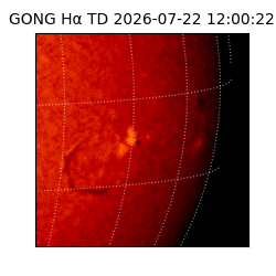 gong - 2026-07-22T12:00:22