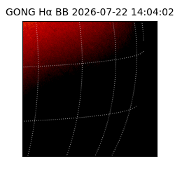 gong - 2026-07-22T14:04:02