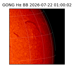 gong - 2026-07-22T01:00:02