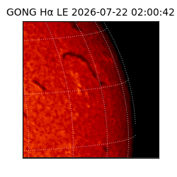 gong - 2026-07-22T02:00:42