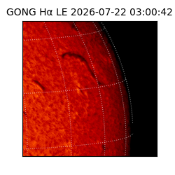 gong - 2026-07-22T03:00:42