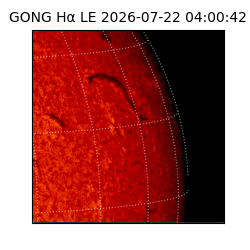 gong - 2026-07-22T04:00:42