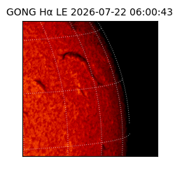 gong - 2026-07-22T06:00:43