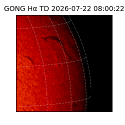 gong - 2026-07-22T08:00:22