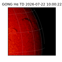 gong - 2026-07-22T10:00:22