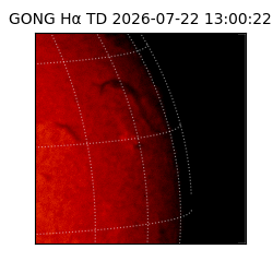 gong - 2026-07-22T13:00:22