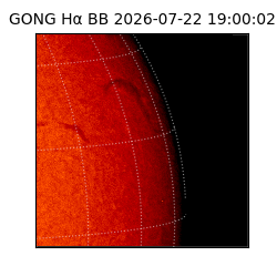 gong - 2026-07-22T19:00:02