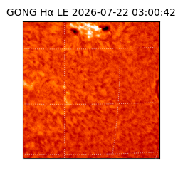 gong - 2026-07-22T03:00:42