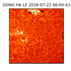 gong - 2026-07-22T06:00:43