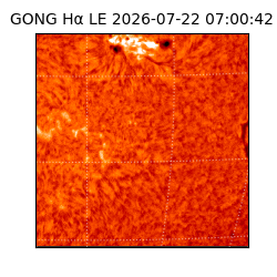 gong - 2026-07-22T07:00:42