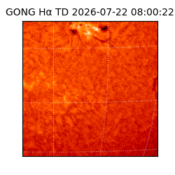 gong - 2026-07-22T08:00:22