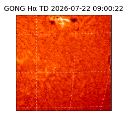 gong - 2026-07-22T09:00:22