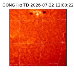gong - 2026-07-22T12:00:22