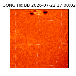 gong - 2026-07-22T17:00:02