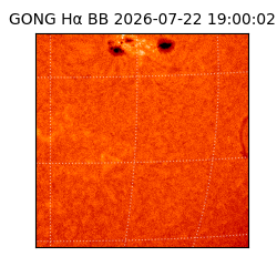 gong - 2026-07-22T19:00:02