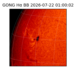 gong - 2026-07-22T01:00:02