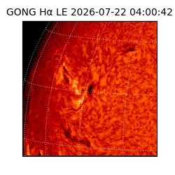 gong - 2026-07-22T04:00:42