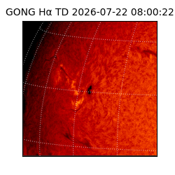 gong - 2026-07-22T08:00:22