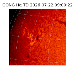 gong - 2026-07-22T09:00:22