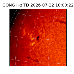 gong - 2026-07-22T10:00:22