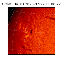 gong - 2026-07-22T11:00:22