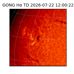 gong - 2026-07-22T12:00:22