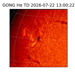 gong - 2026-07-22T13:00:22